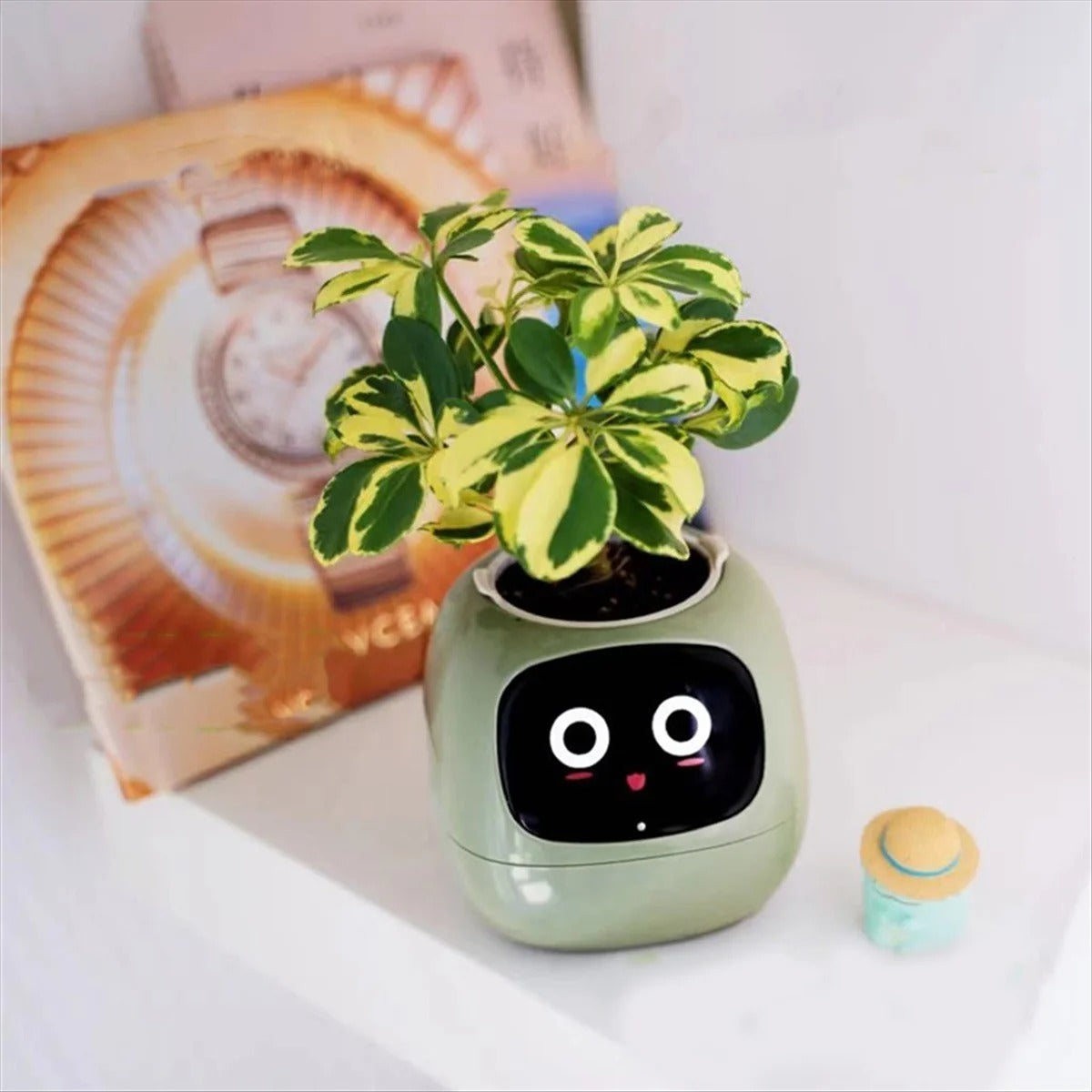 Plantagotchi - robô planta Inteligente compre 1 e leve 2