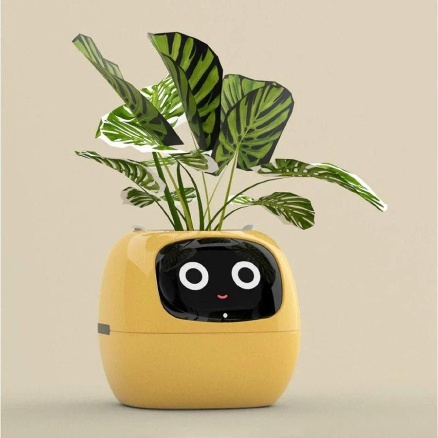 Plantagotchi - robô planta Inteligente compre 1 e leve 2